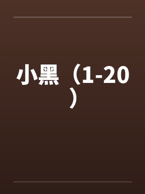 小黑盒下载封面