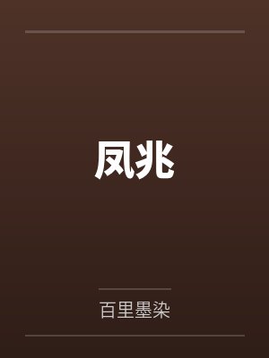 凤兆封面