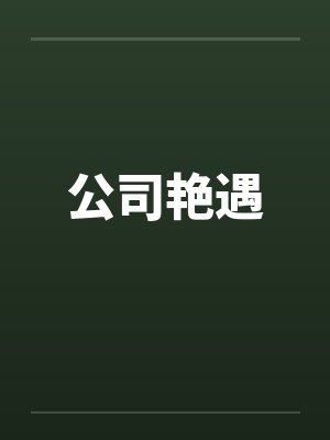 公司艳遇封面