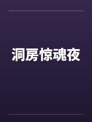 洞房惊魂夜封面