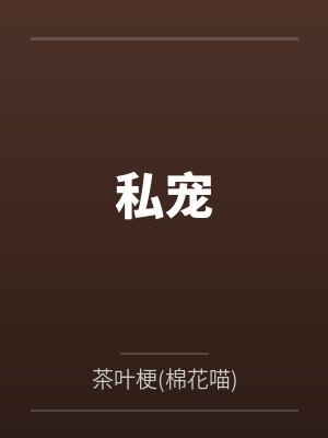 唐清沐敖任坤封面