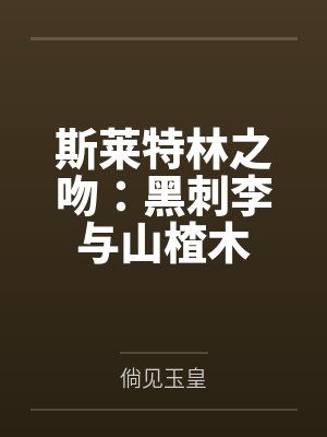 斯莱特林之吻：黑刺李与山楂木封面