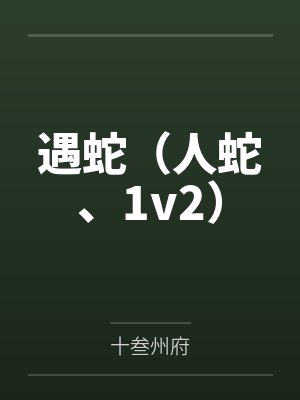 盛茵茵老板封面