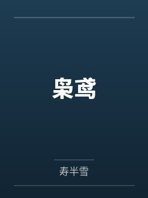 枭鸢笔趣阁无弹窗封面